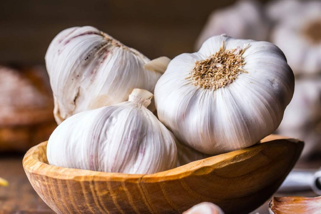 Sarımsağı tuzlu fıstık gibi soymanın sırrı bulundu! Aslında bu kadar basitmiş - Resim: 39